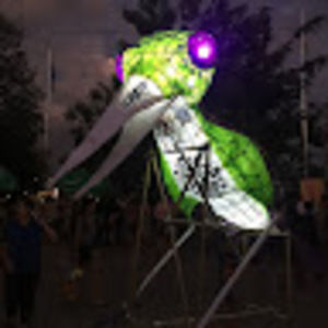 Meet your Posher, Jane